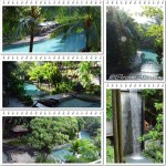 Siloso-poo-copyrightl